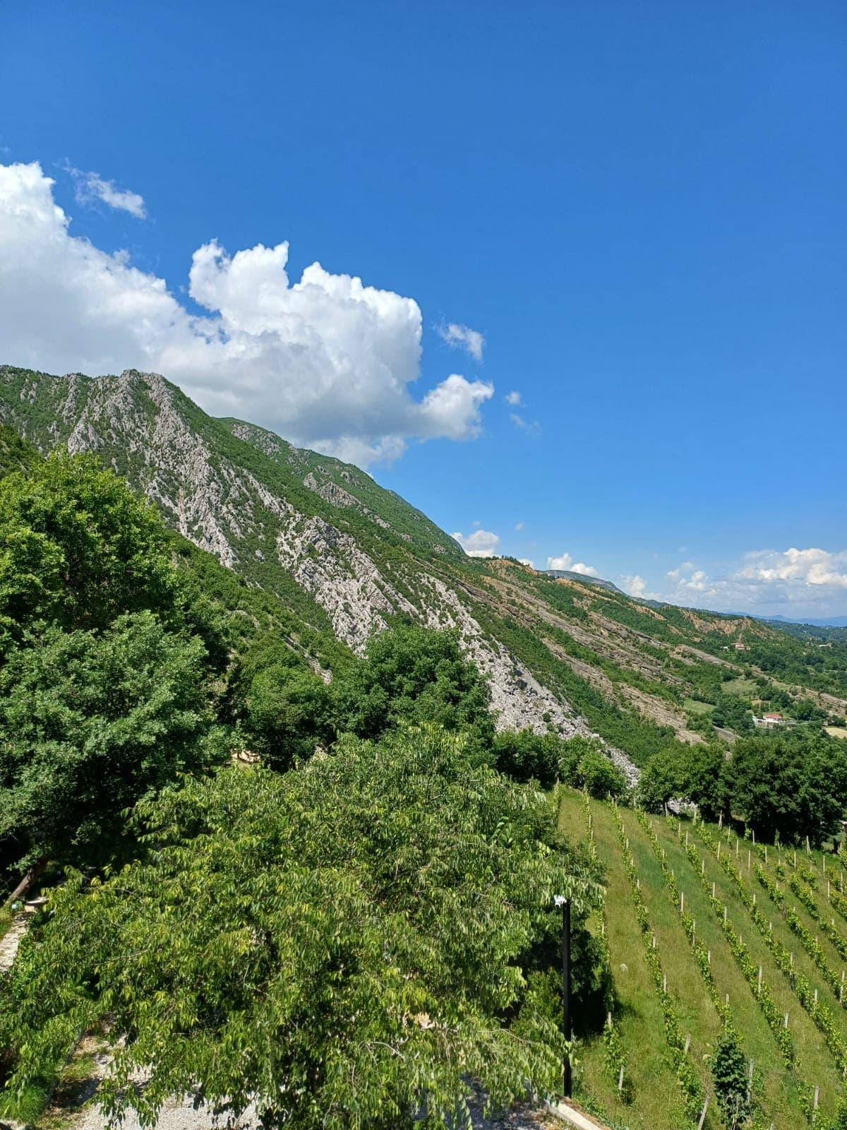 Photography Excursion