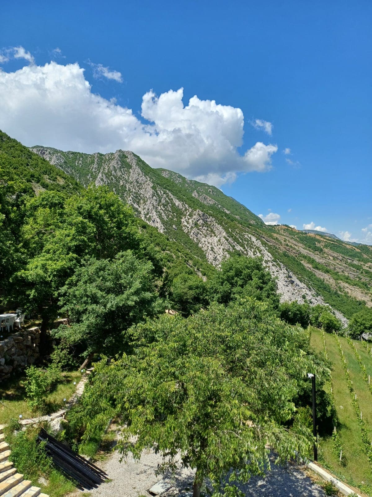 Events at Bujtina Çupa